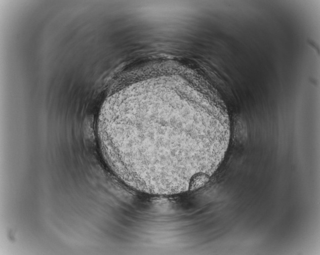 X0000099950616200806131449