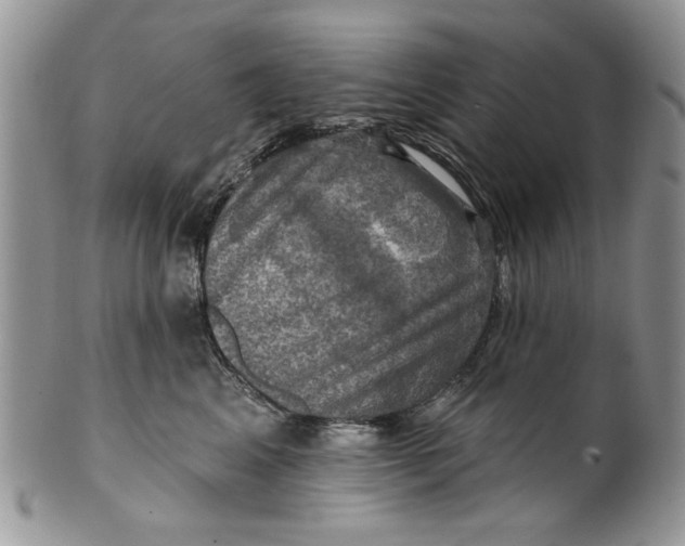 X0000099950617200806131449