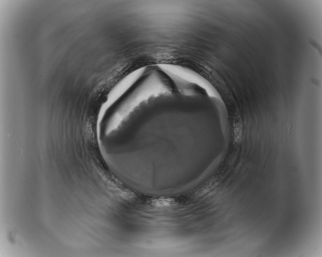 X0000099950618200806131449