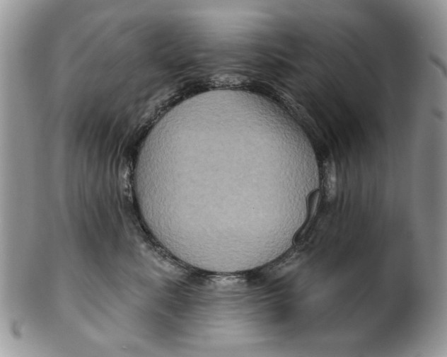 X0000099950619200806131449