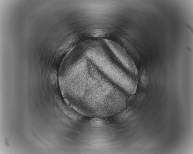 X0000099950620200806131449