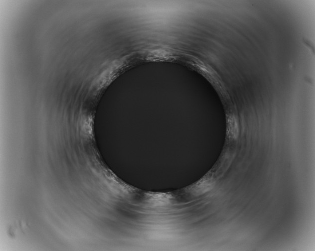 X0000099950621200806131449