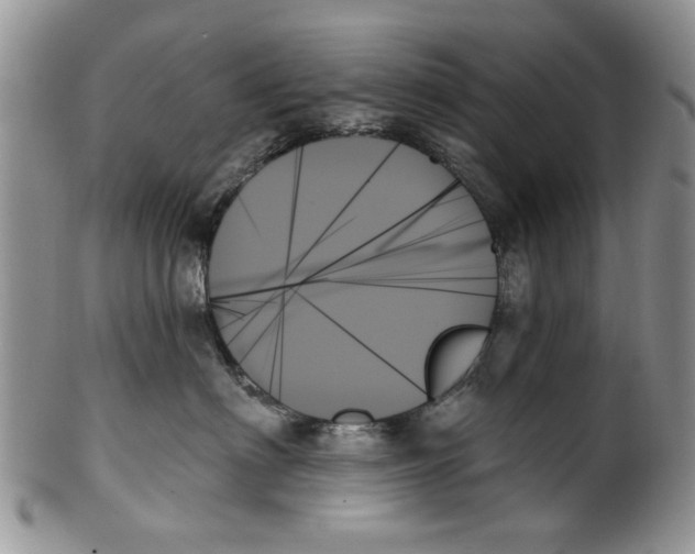 X0000099950622200806131449