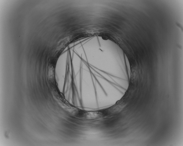 X0000099950623200806131449