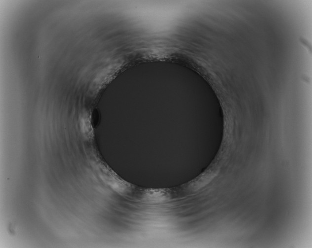 X0000099950624200806131449