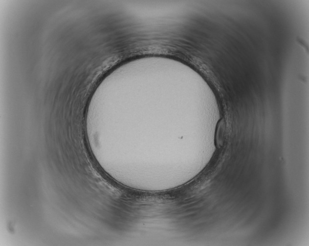 X0000099950625200806131448