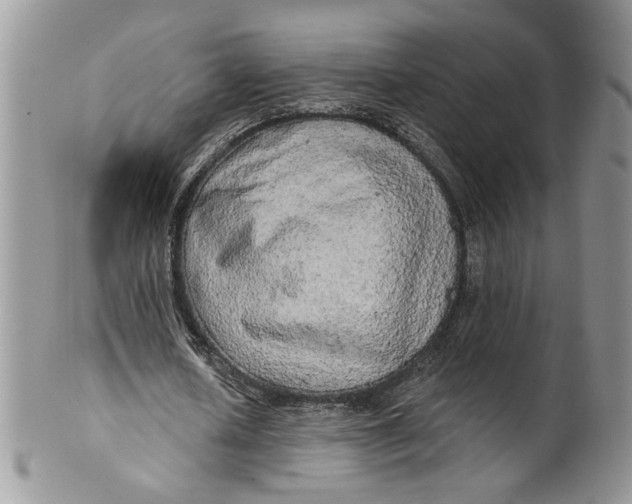 X0000099950626200806131448