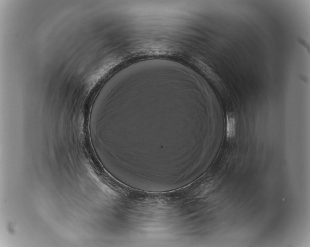 X0000099950627200806131448