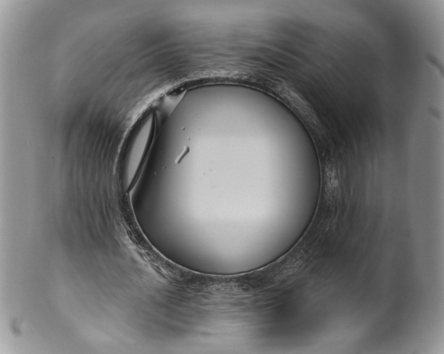 X0000099950628200806131448