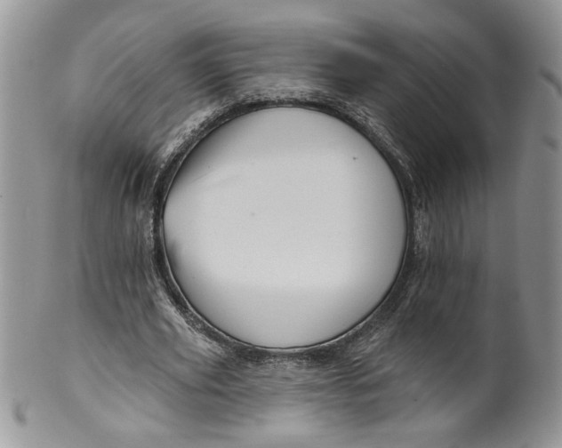 X0000099950629200806131448