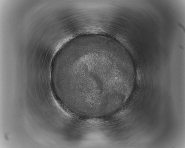 X0000099950630200806131448