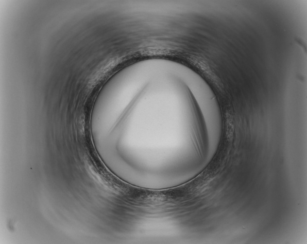 X0000099950631200806131448