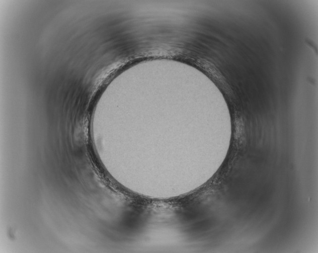 X0000099950632200806131448