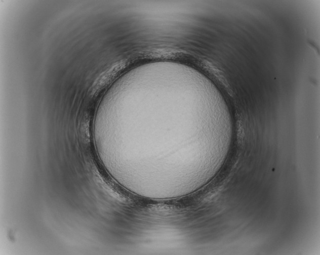 X0000099950633200806131448