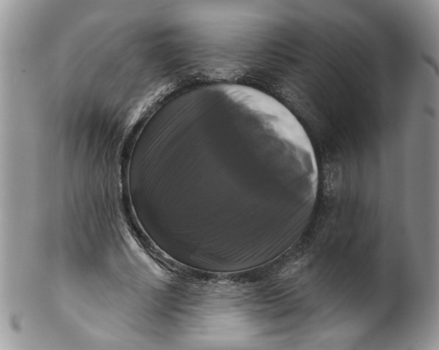 X0000099950634200806131448