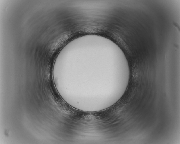 X0000099950635200806131448