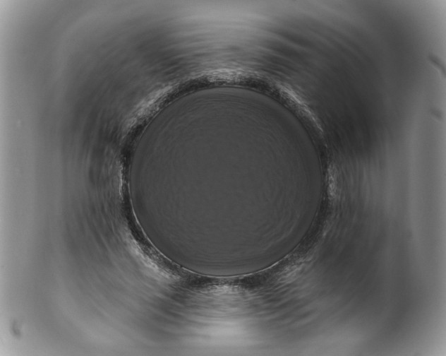 X0000099950637200806131448