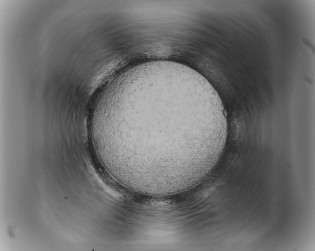 X0000099950638200806131448