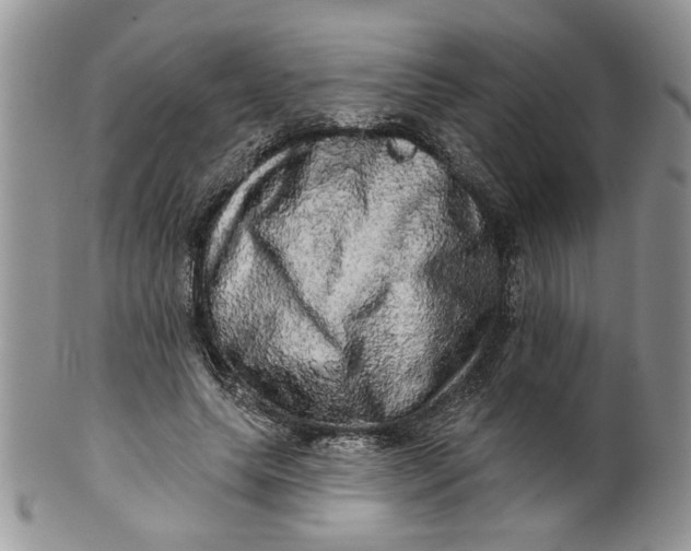 X0000099950639200806131448