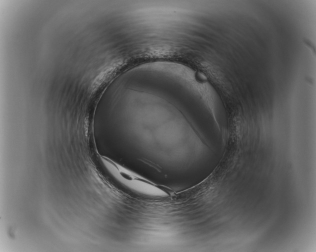 X0000099950640200806131448