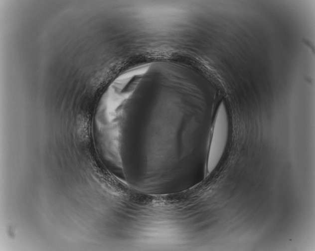 X0000099950641200806131448