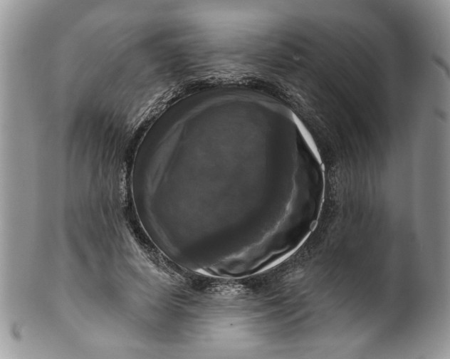 X0000099950642200806131448