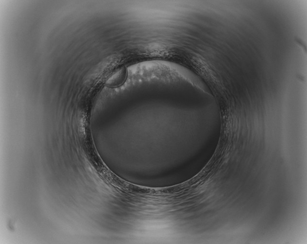 X0000099950643200806131448