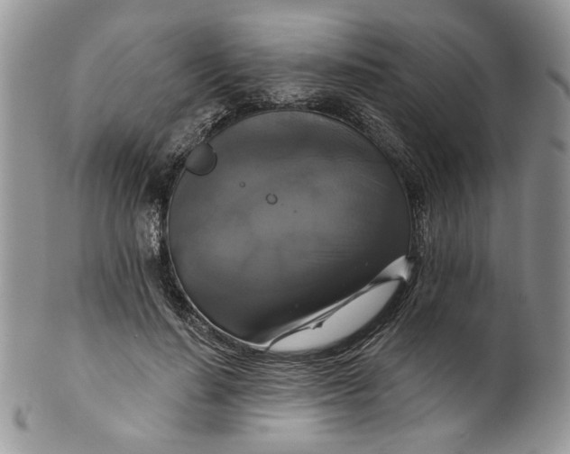 X0000099950644200806131448