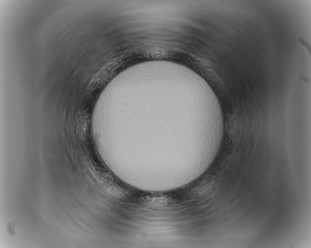 X0000099950645200806131448