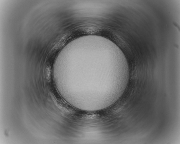 X0000099950646200806131448