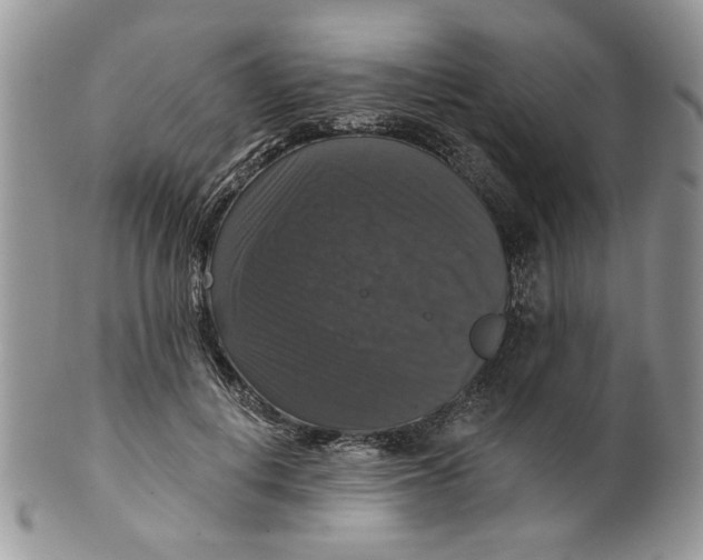 X0000099950648200806131448