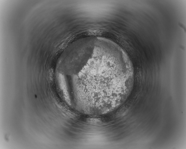 X0000099950649200806131448