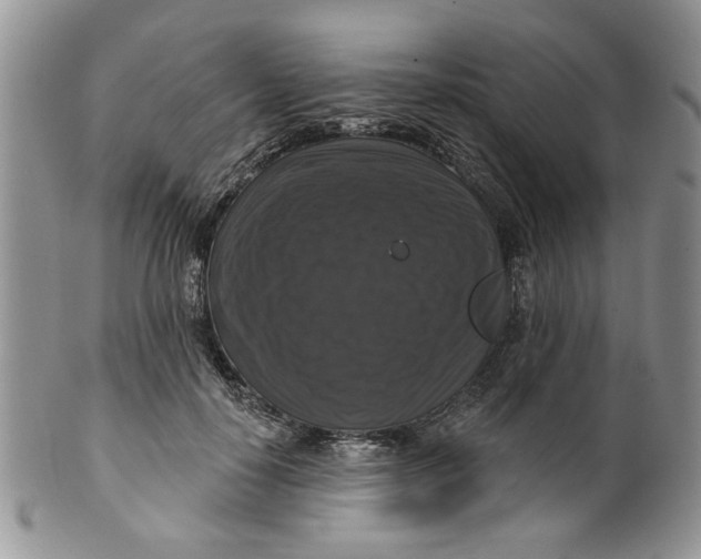 X0000099950650200806131448