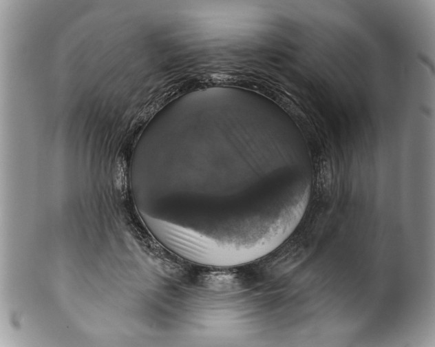 X0000099950651200806131448