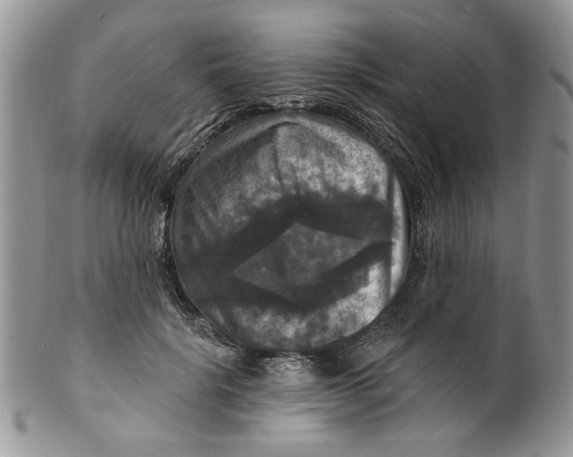 X0000099950652200806131448