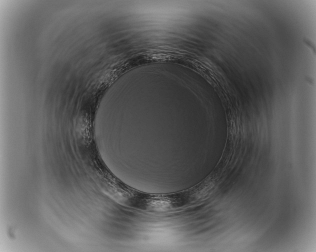 X0000099950653200806131448