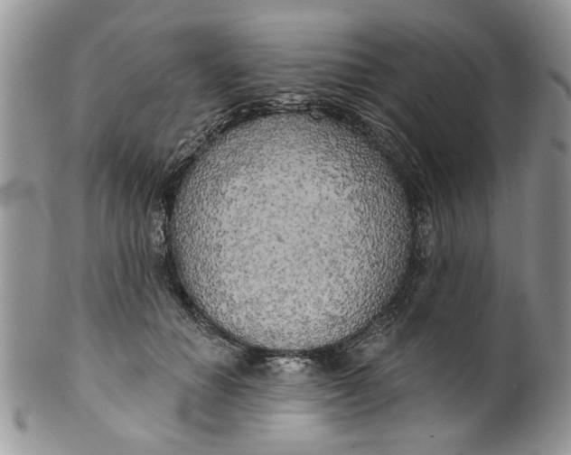 X0000099950654200806131448