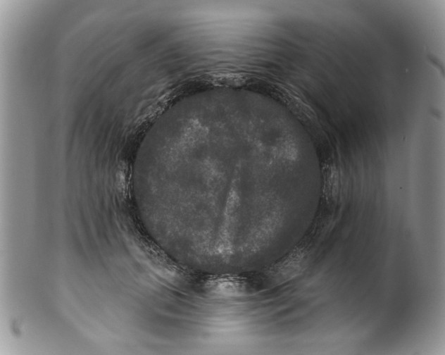 X0000099950655200806131448