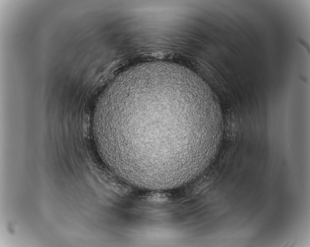 X0000099950656200806131448