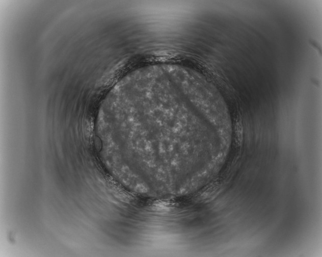 X0000099950657200806131448