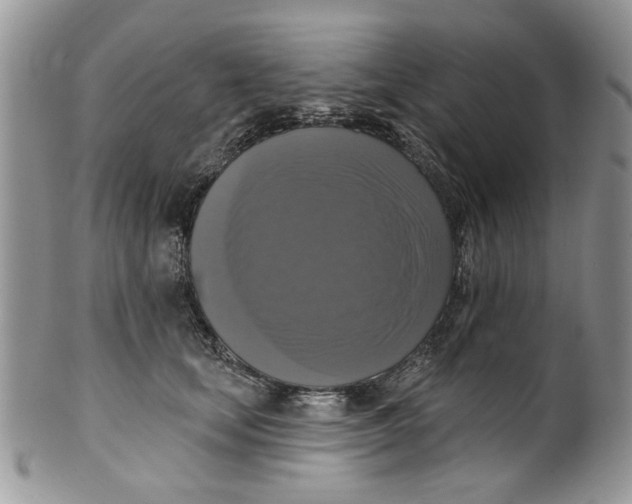 X0000099950659200806131448