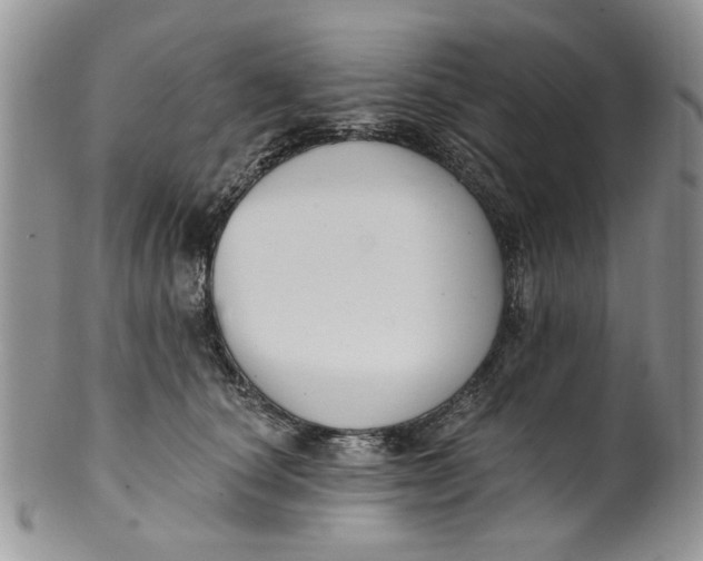 X0000099950660200806131448