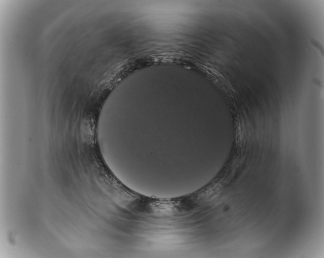 X0000099950661200806131448