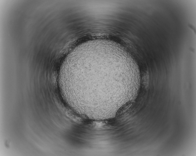 X0000099950662200806131448