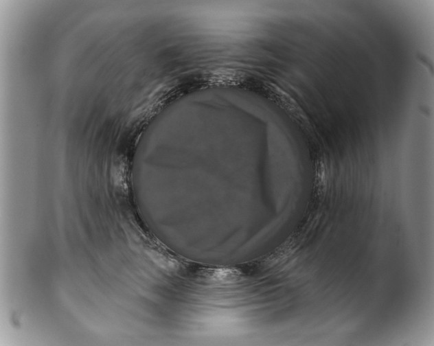 X0000099950663200806131448