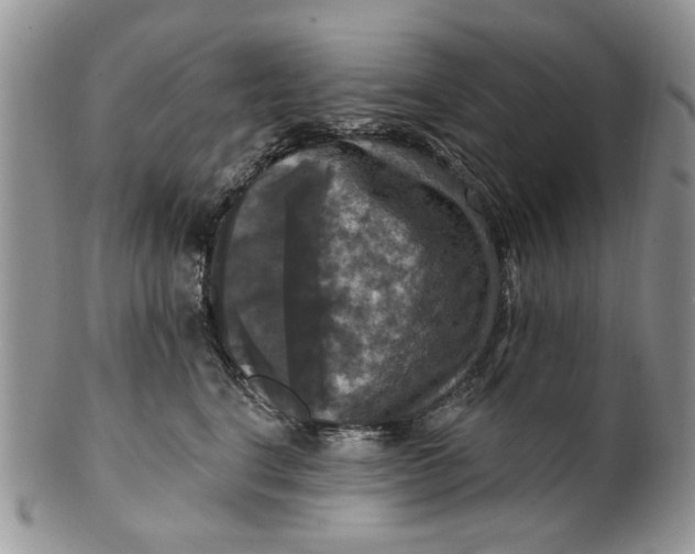 X0000099950664200806131448