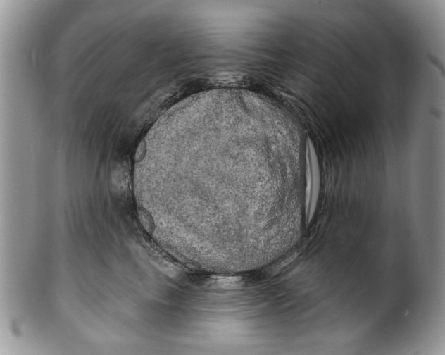 X0000099950665200806131448