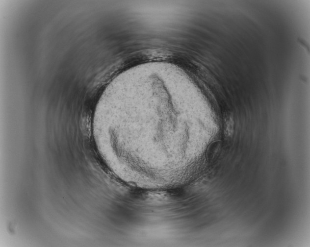 X0000099950666200806131448