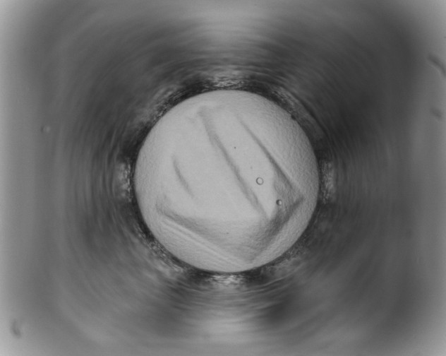 X0000099950667200806131448