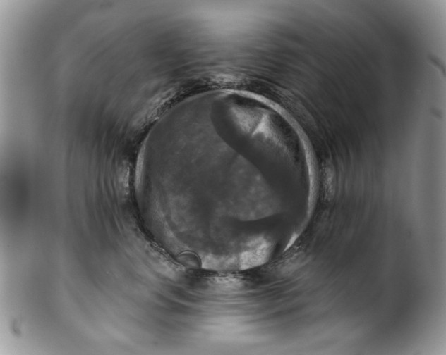 X0000099950668200806131448